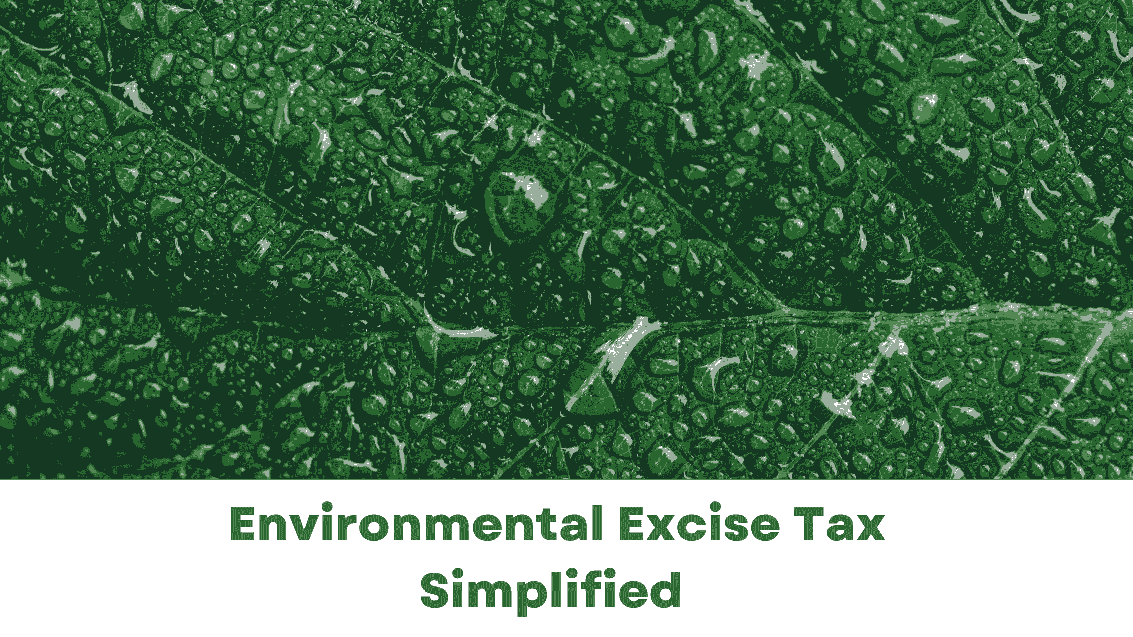 Environmental Excise Tax – Simplified  